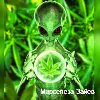 Марселеза Зайев