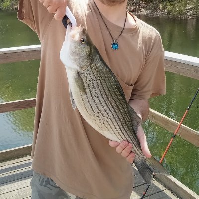 JD ( I'm a millennial) Trump Voter 1 Gen citizen