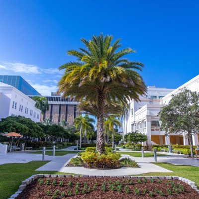 Miami Hem/Onc Program Director