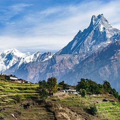 HEMP FIELD【即日発送】