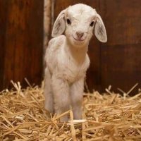 mameiraa⚽️💍🧡