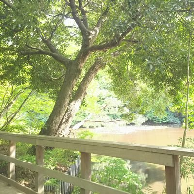 ãããã¡ããð¯ðµð»ð(yuki_kiki)