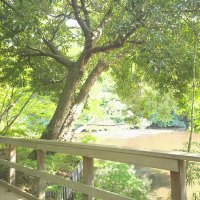 おゆきちゃん🇯🇵🗻🌊(yuki_kiki)