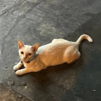 เอาไว้ปล่อยของ