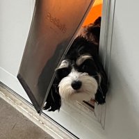 KC Mike...(aka FAUX News)