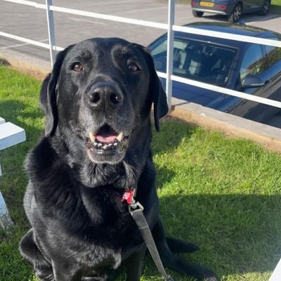 Martin Guest #FBPE #RefugeesWelcome #GiveBlood