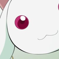 📕( '-' 📕 )ﾔｸｾﾝ