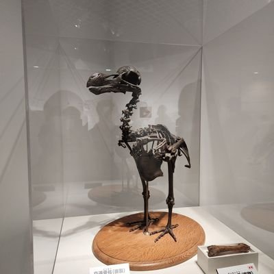 SaRi(こんな人たちの一人)