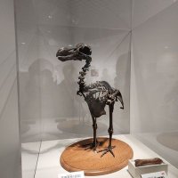 SaRi(こんな人たちの一人)