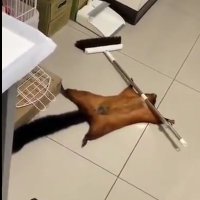 Disavventure&Disagio