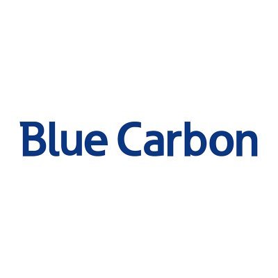 Blue Carbon Power