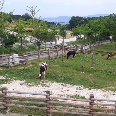 栽培っこ種苗っち