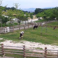 栽培っこ種苗っち