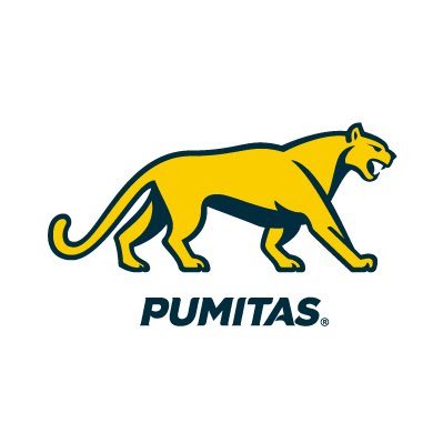 Los Pumitas