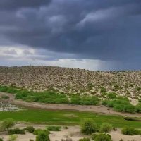 marwadi Jitu choudhary