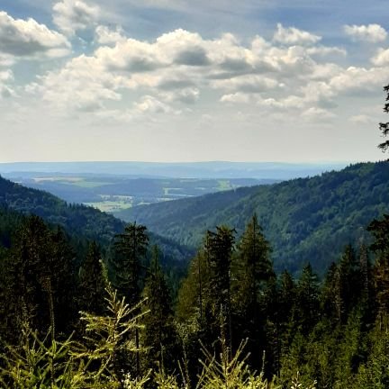 K.Heinz🇩🇪🇪🇸🇺🇦🇪🇺