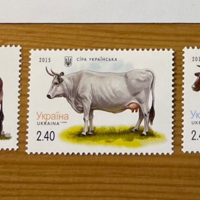 Stamps with cows 🇺🇦