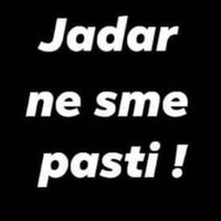 Udruženje NE DAMO JADAR