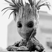 🔔🦉 Don QuigrOOt official ❌ 🎺 🍀