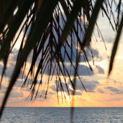 Гарик Z 🇷🇺💤