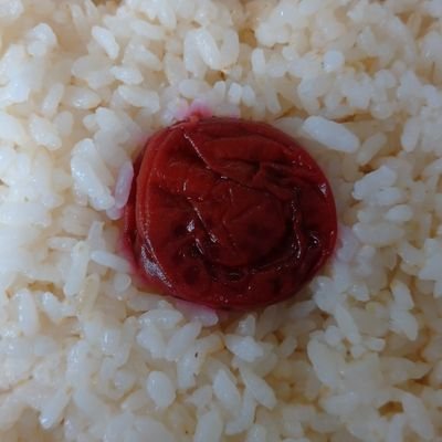 高橋 かずゆき （凍結により避難）