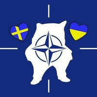 steph stags🌻💙💛⬆️