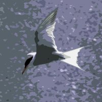 Flyingtern