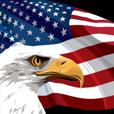 🇺🇸 The Novice Craftsman 🇺🇸