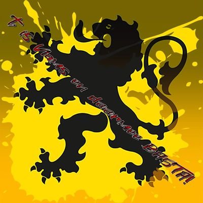 Linda Coene 💛🖤🇮🇱 🤘🐾💙🖤