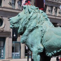 گاردون 🎗️ 🦁🌞