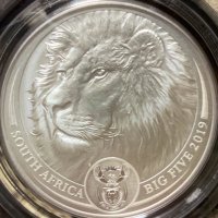 犬丸ワンコイン(硬貨蒐集 2023.01開始)