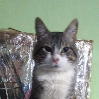 ♥️ ♣️ Alexis♦️ ♠️