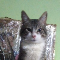 ♥️ ♣️ Alexis♦️ ♠️