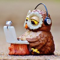 มนุดน้องฮูก🦉