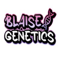 Blaise Genetics