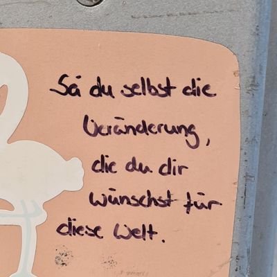 Täglicher Wahnsinn News