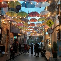 ｒｏｌｉｈｎｏ✈️🪐