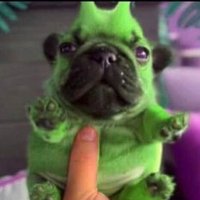 Galpão do arregaço mental