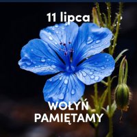 💾 Miesiu 🐧 💻 🕹️