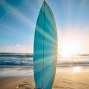 Lavender ❄️🏂🏄‍♂️🐬