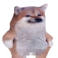 Derk de Vries #NAFOfella (Я за Україну) Free 🦝