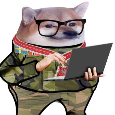 Steïnar 🐶 Andersen