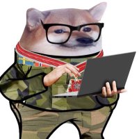 Steïnar 🐶 Andersen