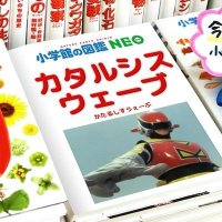 カタルシスウェーブ🪽