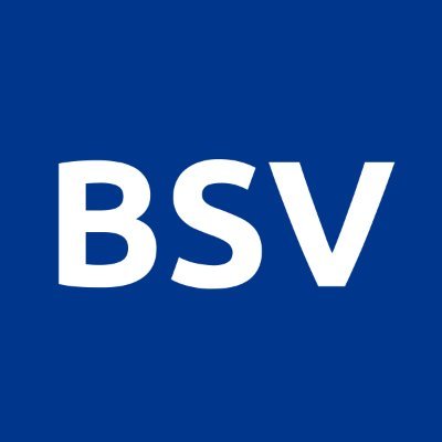 BSV Blockchain