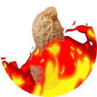 theburntpeanut