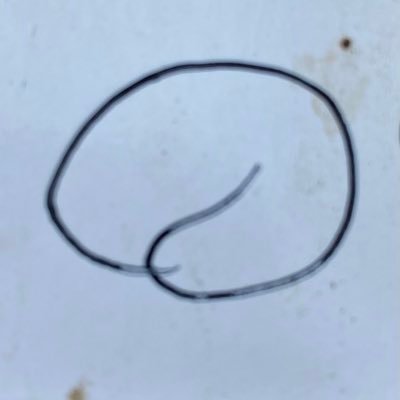 Professor Xeno Rasmusson, MS, PhD