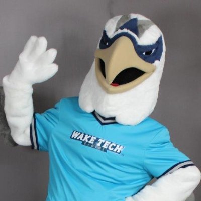 Talon the Eagle