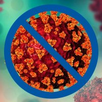 Covid Caution - BA.3.2, XFG, LF.7, LP.8.1