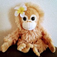 ☆Chobi☆ばぉ🐾